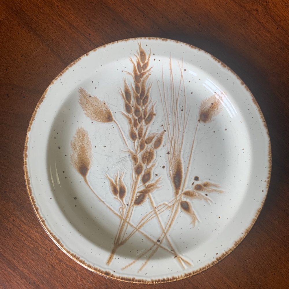 Wild Oats Stonehenge “Midwinter” pattern. Set/2 bread/butter plates. Vintage!❣️